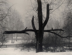 Exposición Pentti Sammallahti